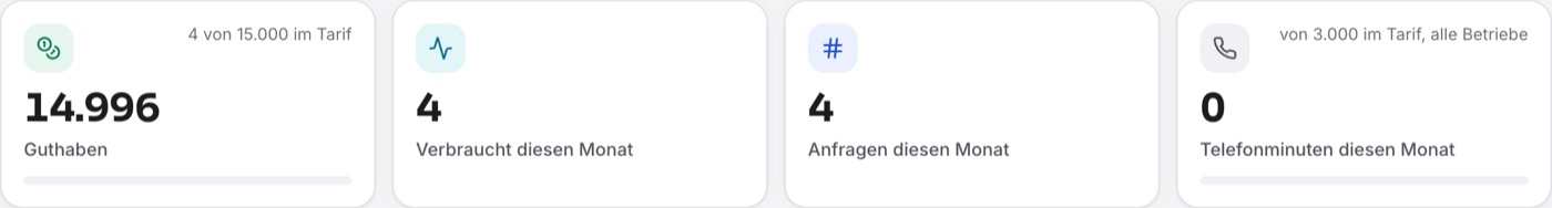 Die vier Kacheln „Guthaben“ mit Balken, „Verbraucht diesen Monat“, „Anfragen diesen Monat“ und „Telefonminuten diesen Monat“.