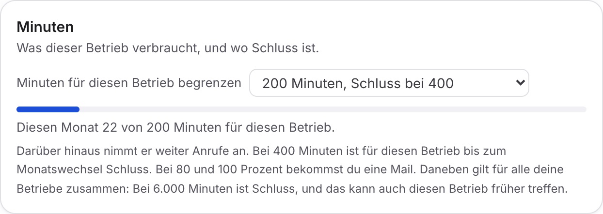 Abschnitt „Minuten“: „Minuten für diesen Betrieb begrenzen“ auf 200 Minuten, Schluss bei 400, darunter der Verbrauch dieses Monats.
